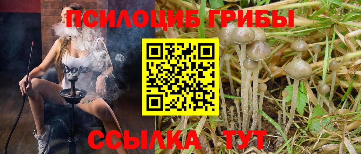 Гулькевичи  Псилоцибиновые грибы прущие грибы  где можно купить наркотик  Вход с VPN 