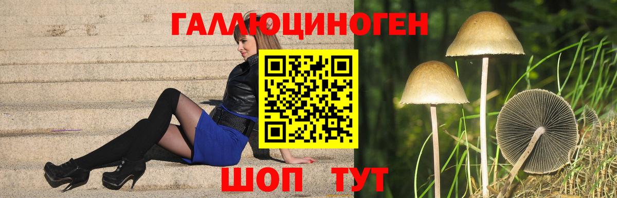 Галлюциногенные грибы ЛСД Гулькевичи